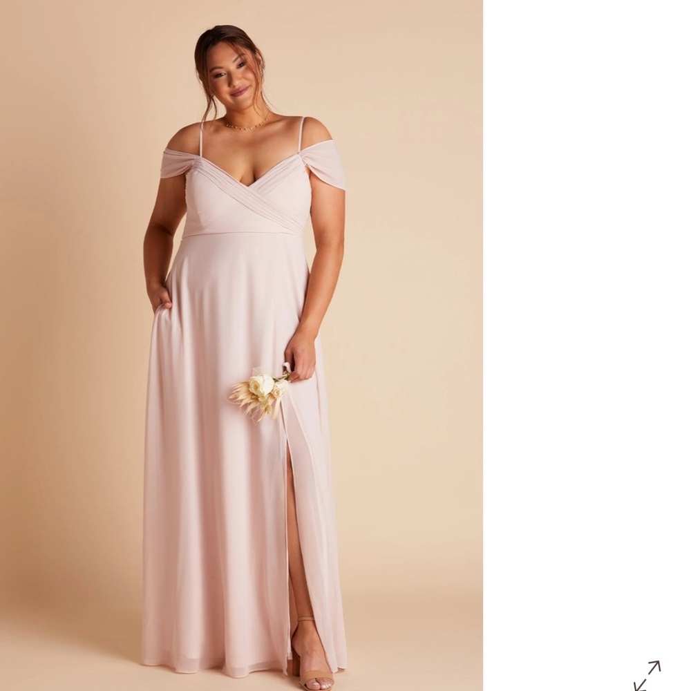 Birdy Grey Spence Dress Chiffon Pale Blush NWT XL